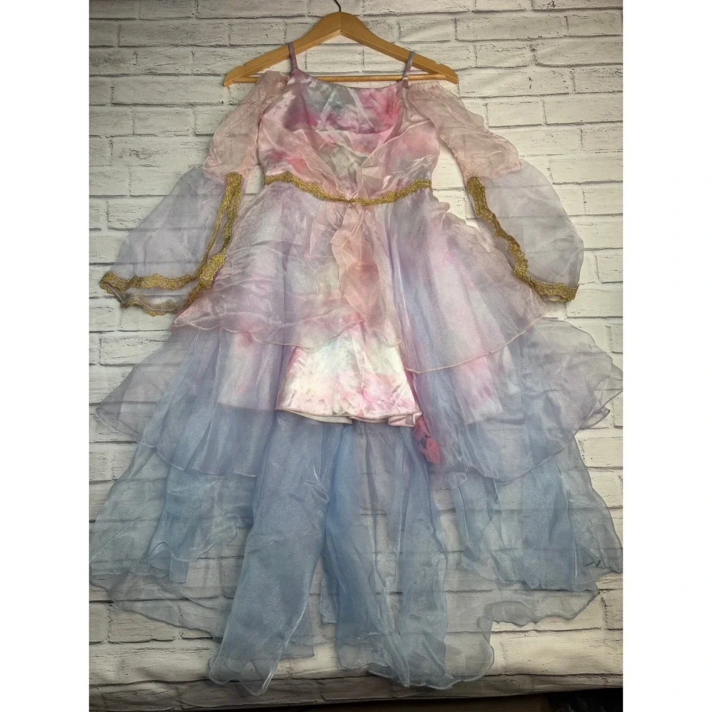 Chasing Fireflies Girls Fairy Princess Costume Dress Pink Blue Watercolor Size 8